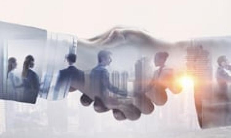Introduction to Public-Private Partnerships (PPPs) - Virtual Learning