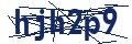 Dash Inspectorate