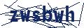 Dash Inspectorate