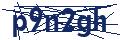 Dash Inspectorate