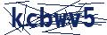 Dash Inspectorate
