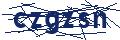 Dash Inspectorate