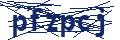 Dash Inspectorate
