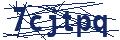Dash Inspectorate
