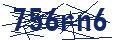 Dash Inspectorate