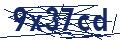 Dash Inspectorate