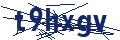 Dash Inspectorate