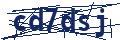 Dash Inspectorate