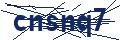 Dash Inspectorate