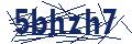 Dash Inspectorate