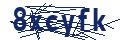 Dash Inspectorate