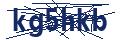 Dash Inspectorate