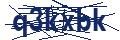 Dash Inspectorate