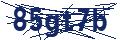 Dash Inspectorate