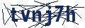 Dash Inspectorate