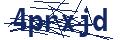 Dash Inspectorate