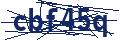 Dash Inspectorate