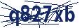 Dash Inspectorate