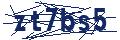 Dash Inspectorate