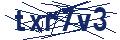 Dash Inspectorate