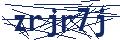 Dash Inspectorate