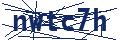 Dash Inspectorate