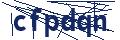 Dash Inspectorate