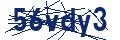 Dash Inspectorate