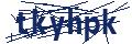 Dash Inspectorate