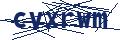 Dash Inspectorate