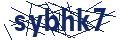 Dash Inspectorate