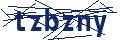 Dash Inspectorate