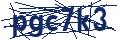 Dash Inspectorate