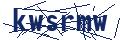 Dash Inspectorate