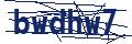Dash Inspectorate