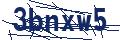 Dash Inspectorate