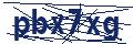 Dash Inspectorate