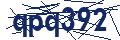 Dash Inspectorate