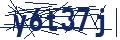 Dash Inspectorate