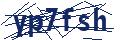 Dash Inspectorate