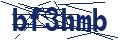 Dash Inspectorate