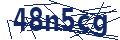 Dash Inspectorate