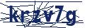 Dash Inspectorate