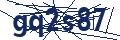 Dash Inspectorate