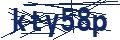 Dash Inspectorate