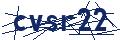 Dash Inspectorate