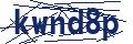 Dash Inspectorate