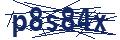 Dash Inspectorate