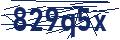 Dash Inspectorate