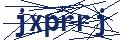 Dash Inspectorate